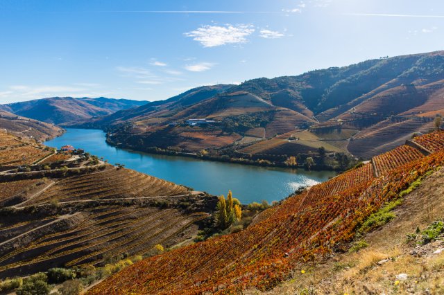 Weinreise zu den DouroBoys, Portugal